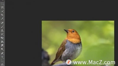 ps图层蒙版的使用方法(ps图层蒙版的使用方法,换天空)