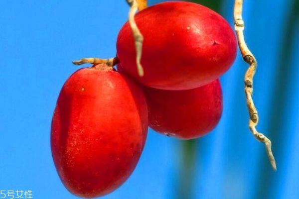 椰枣的营养价值 椰枣的食用禁忌 椰枣的营养价值 椰枣的食用禁忌