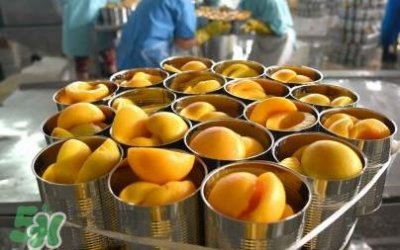 黄桃为什么水果店没得?黄桃哪里产的最好吃