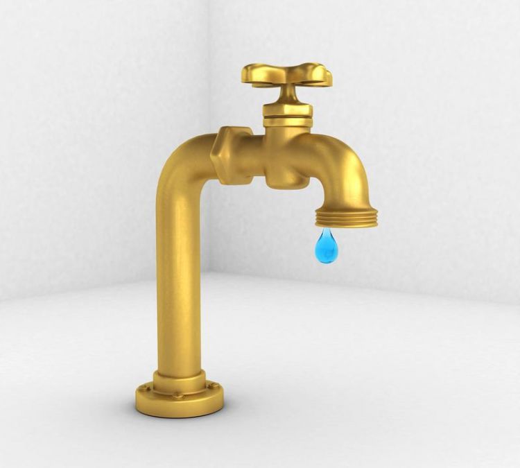 滴水尖还是储水尖植物