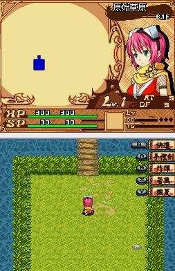 10大nds游戏（我心目中的好游戏）(14)