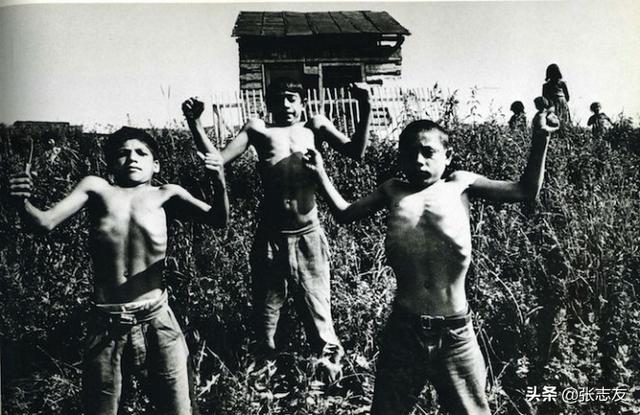 流浪大师基本情况（流浪大师二）(4)