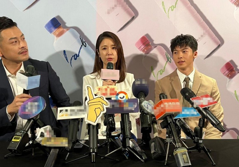 林心如林志颖电视剧(林心如林志颖电视剧简介)