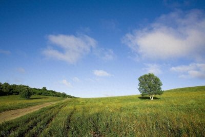 ​七首意境绝美的原野风光古诗，你读过几首？