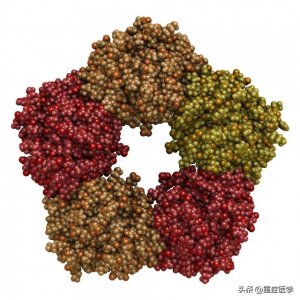 ​crp是什么病 crp与感染