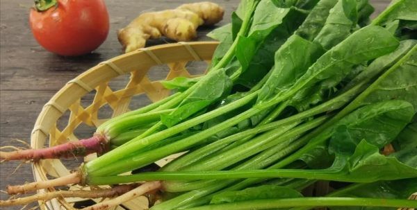 吃菠菜有什么好处,吃菠菜对身体有什么好处和坏处图4