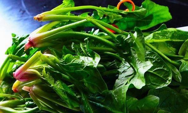 秋天吃菠菜有哪些好处