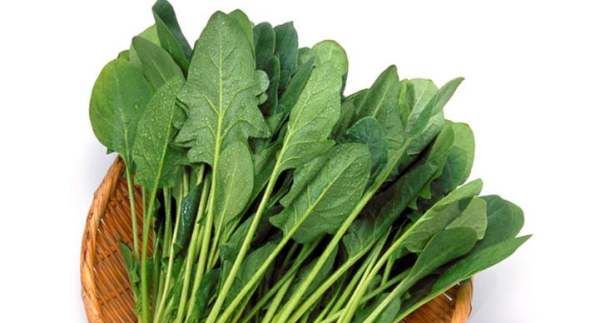吃菠菜有什么好处,吃菠菜对身体有什么好处和坏处图10