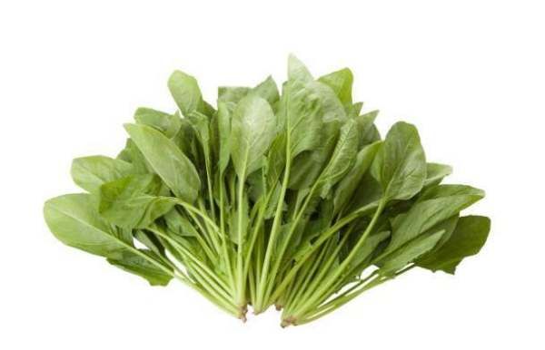 吃菠菜有什么好处,吃菠菜对身体有什么好处和坏处图8