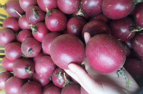 百香果皮可以直接吃,百香果的皮能吃吗?它怎么吃法图4