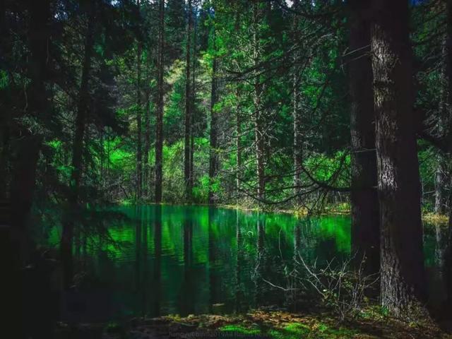 哪个航班能看到九寨沟(重庆九寨沟7月16日复航)(9)