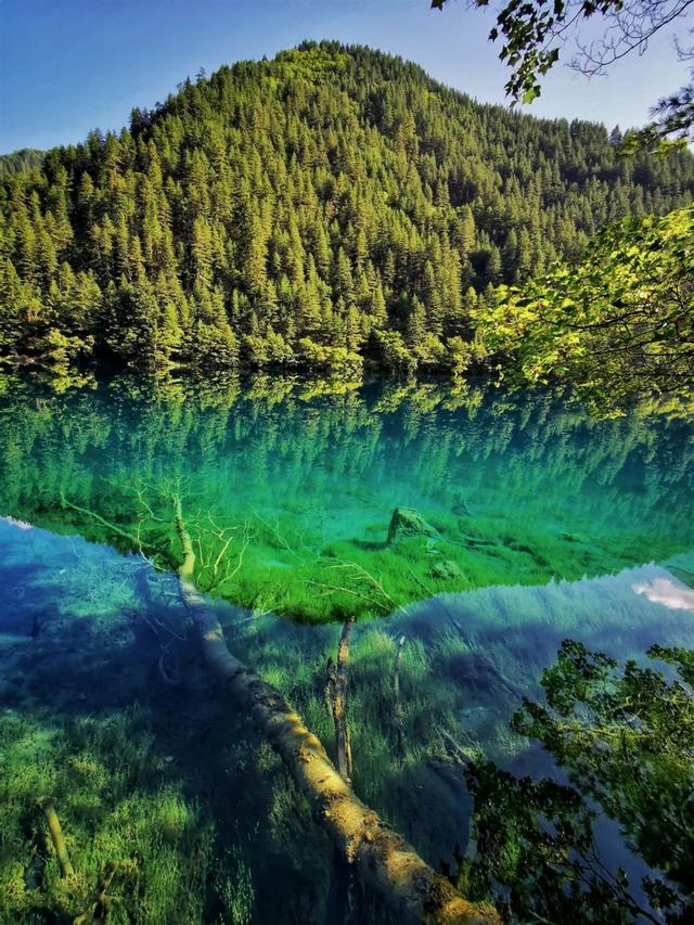 哪个航班能看到九寨沟(重庆九寨沟7月16日复航)(4)