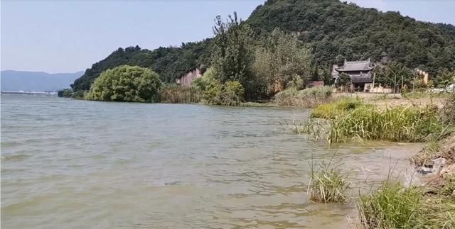 东山再起是谁,入幕之宾东山再起,形容的是谁?图8