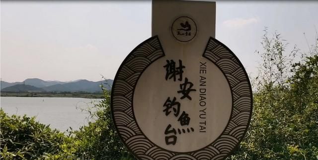 东山再起是谁,入幕之宾东山再起,形容的是谁?图5