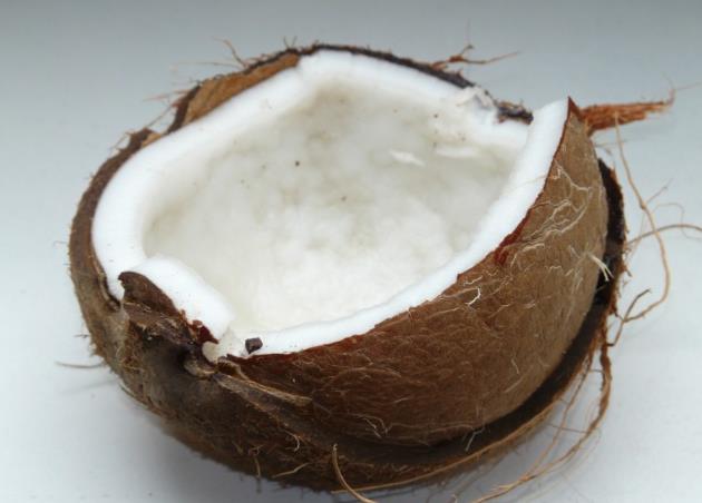 青椰子和老椰子的区别 青椰子和白椰子有什么区别 青椰子和老椰子的区别 青椰子和白椰子有什么区别