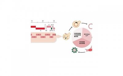 做错事分手了怎么挽回?心理学教你挽回感情的几个小妙招