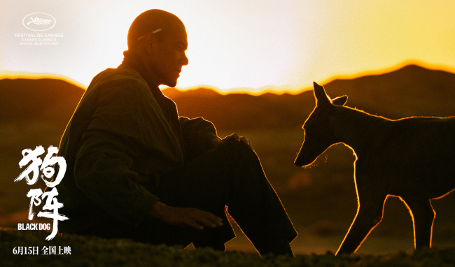 管虎戛纳入围新作《狗阵》定档 彭于晏与黑狗互相救赎
