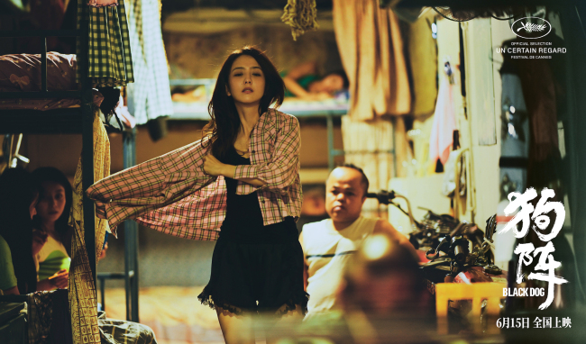 管虎戛纳入围新作《狗阵》定档 彭于晏与黑狗互相救赎