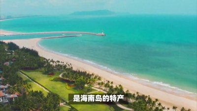 ​可爱的小兔子在草堆里探头探脑，萌萌哒！