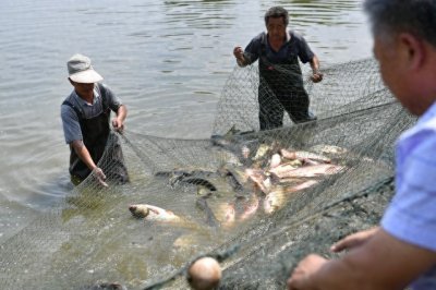 ​鱼塘里的温暖：一个19岁男生的逆境与希望。