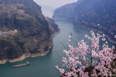 ​盘点三峡地区的旅游特产，有没有你吃过的？