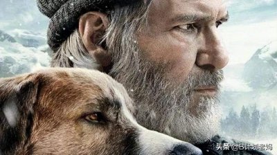 ​好看动物电影排行榜前十名 最好看动物电影