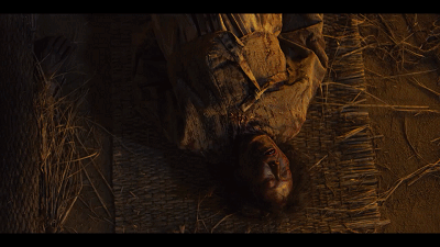 韩剧丧尸片最新推荐感人（丧尸吃人权谋宫斗）(26)