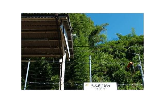 如何解决网络虚假信息问题