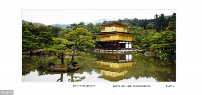 ​我读过，琼瑶的小说《在水一方》