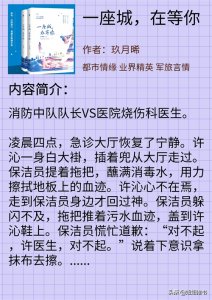 ​三本好看的军旅言情小说——且看铁汉如何追爱