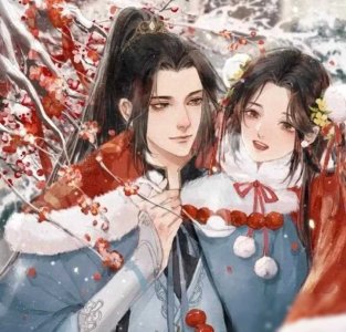 ​你看过墨舞碧歌这本古言小说吗？倾城绝恋，泪点满满，超宠超爱