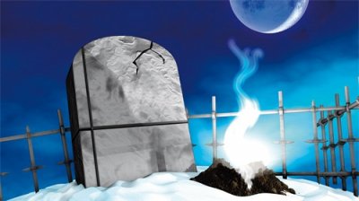 ​小说：如果你重生成了狮子会如何应对？