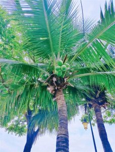 ​中国十个避寒城市