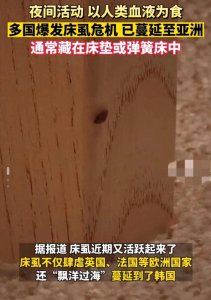 ​注意！床虱已经蔓延至亚洲！韩国最近多个城市出现床虱报道！