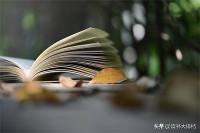 ​什么是文化？如何定义文化这个词？