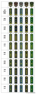 ​我国军衔的级别怎么分，（主要讲下抗扛的是什么如星，麦穗等）?