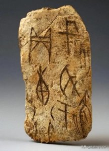 ​中华田园猫你了解多少呢？这篇文章详细给你科普下