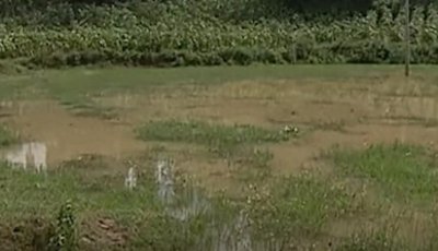 ​云南山村奇异双色怪虾，耐高温还不怕沸水，几百年的水塘被喝光？