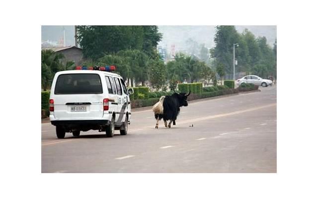 听友回信：我们都想快乐一点