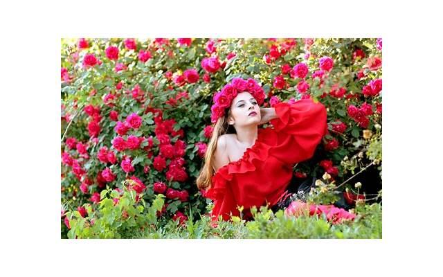 三级电香港影（港圈三级片女神的瓜）