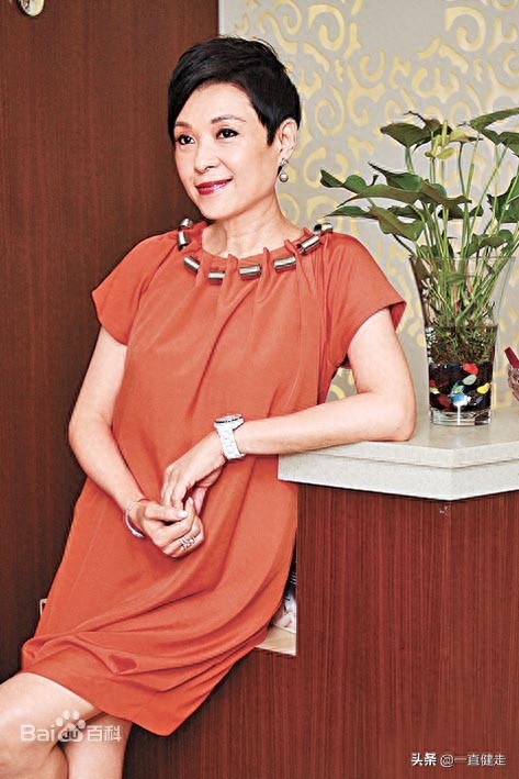 古装动作剧——《太极宗师》