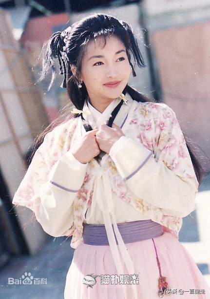 金庸武侠小说之十——《神雕侠侣》