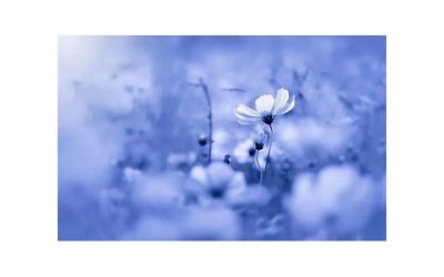 ​女性被进入时是什么感觉？