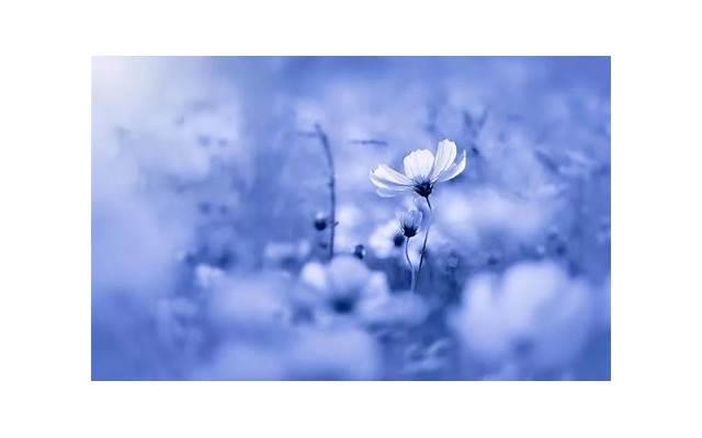 女性被进入时是什么感觉？