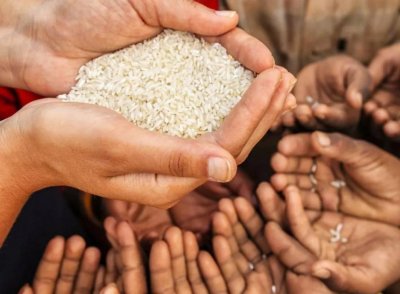 ​《狗日的粮食》读后反刍（文学评论）