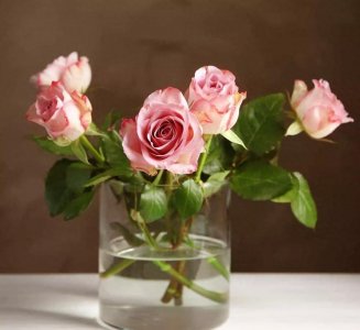 ​国破家亡，“老北风”率部抗日，打得鬼子心惊胆寒