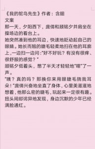 ​推含胭好看小说合集，《我的鸵鸟先生》治愈性暖文！
