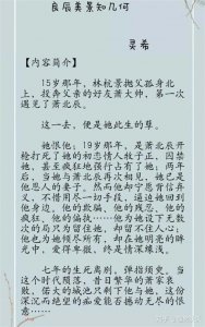 ​类似掌中之物小说推荐