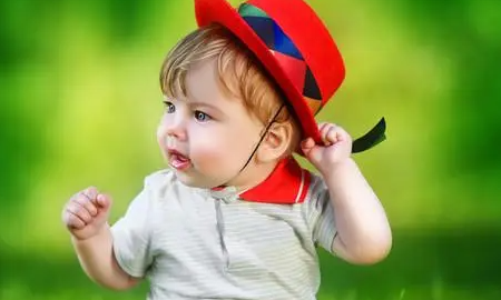 longnian,龙年是哪几年分别多少岁图1