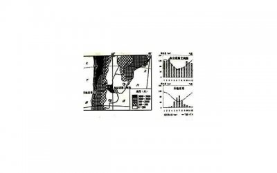 ​东莞往事：一份5块钱的炒米粉，献出了19岁少女最宝贵的第一次